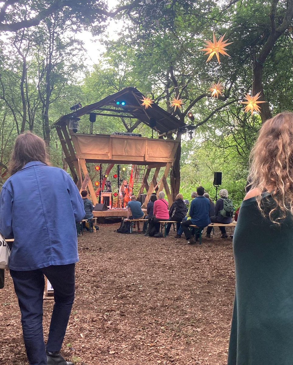 Among the trees at @timber_festival last... Among the trees at @timber_festival last...