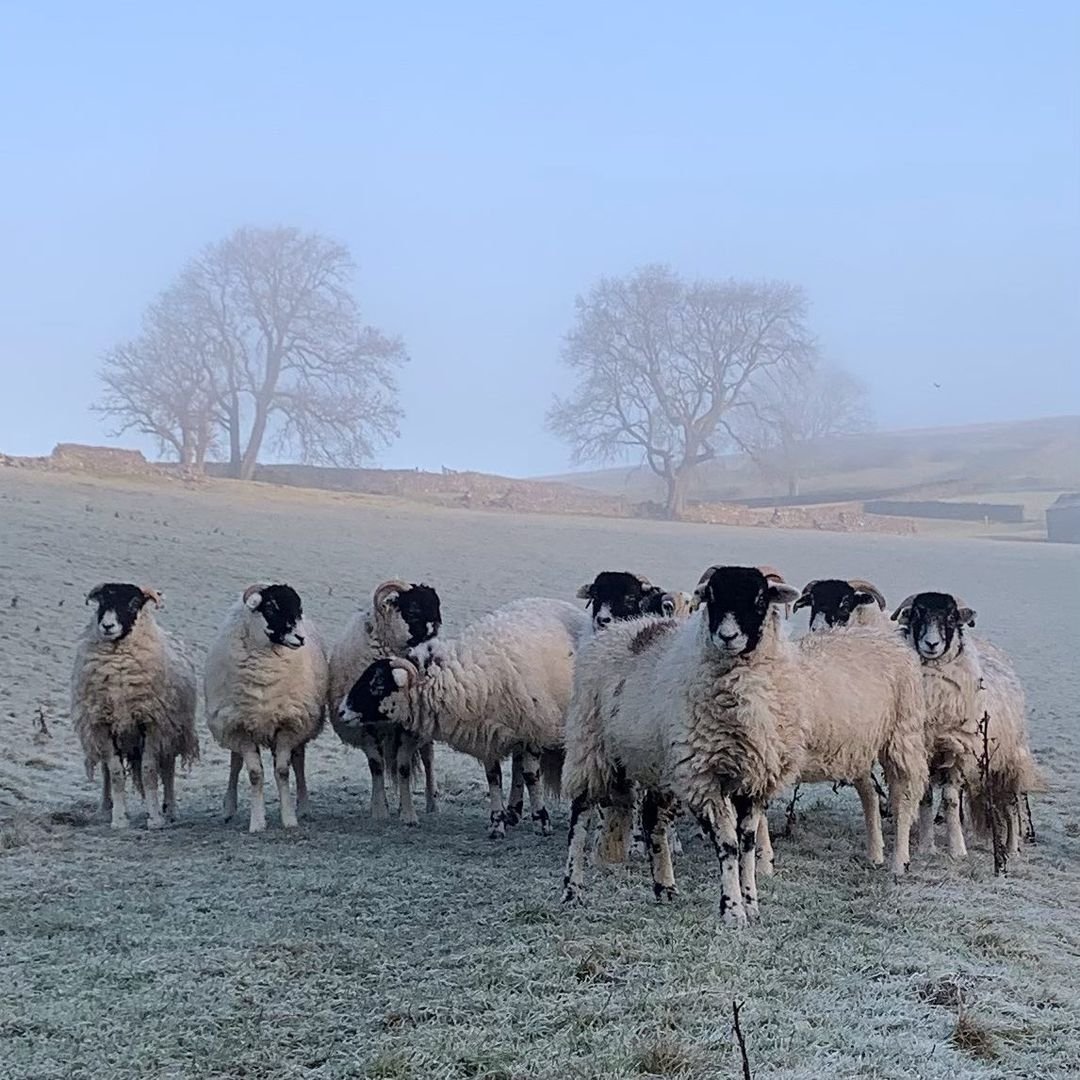 Brrrr! It was a bit crispy frosty out th... Brrrr! It was a bit crispy frosty out th...