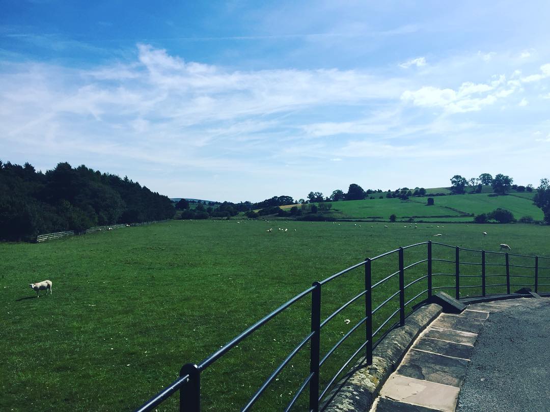 Can you imagine having this as the view from your Can you imagine having this as the view from your