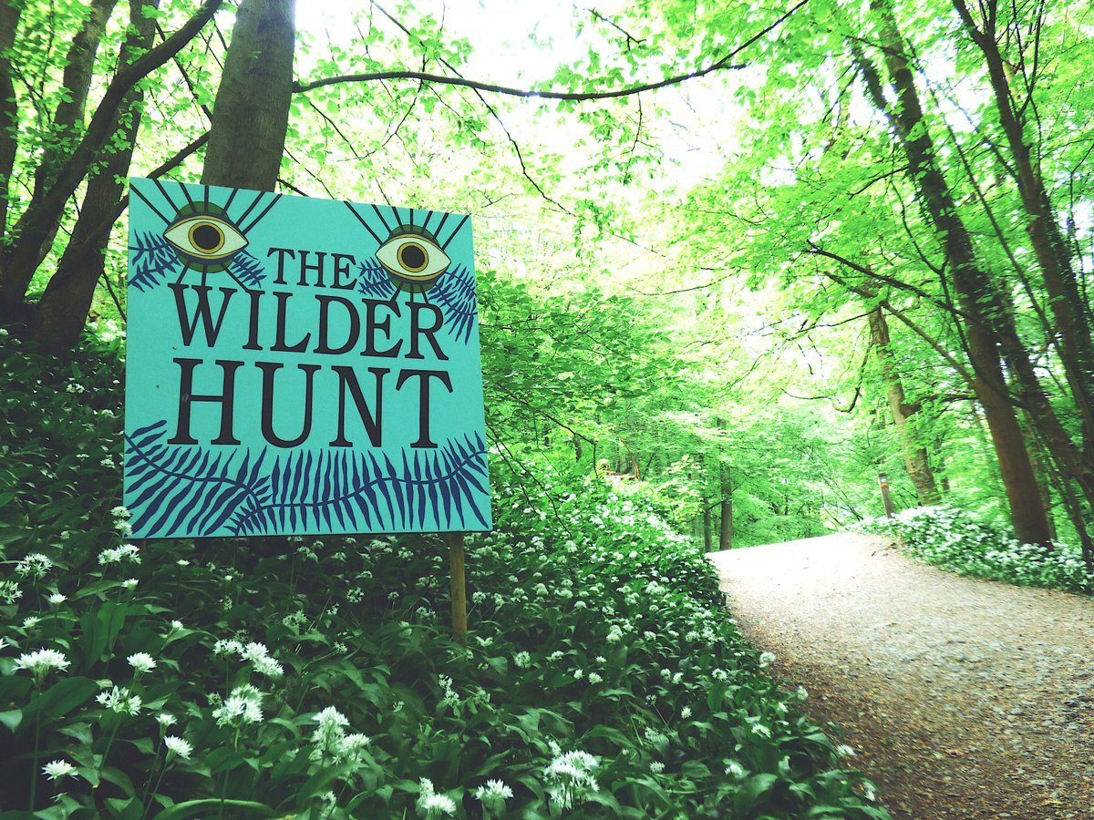 Did you enjoy the Wilder Hunt last weeke... Did you enjoy the Wilder Hunt last weeke...