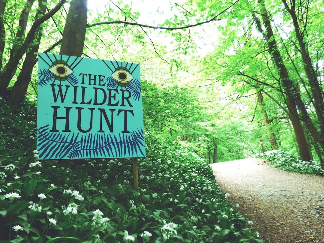 Did you enjoy the Wilder Hunt last weekend at Hinterlands? Did you enjoy the Wilder Hunt last weekend at Hinterlands?