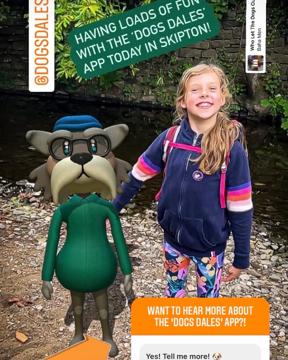 Finding Dogs’Dales AR dogs in Skipton! ... Finding Dogs’Dales AR dogs in Skipton! ...