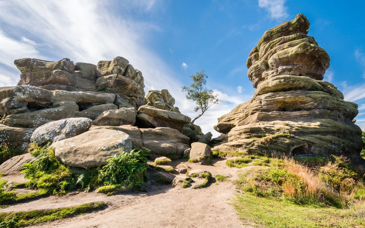 How a good book - and Yorkshire's landsc... How a good book - and Yorkshire's landsc...