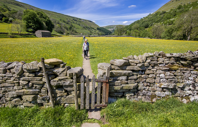 It's National Walking Month this month a...