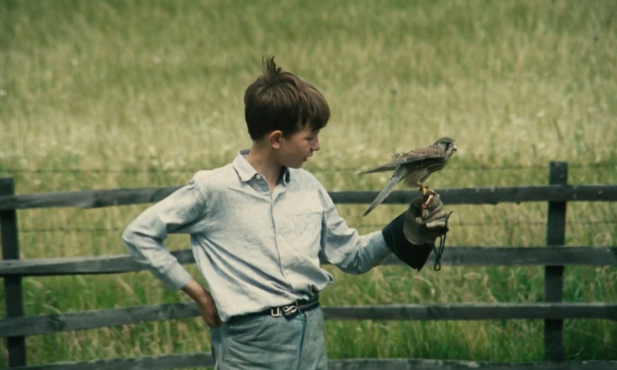 Kes (PG) - Hinterlands Film Festival Kes (PG) - Hinterlands Film Festival