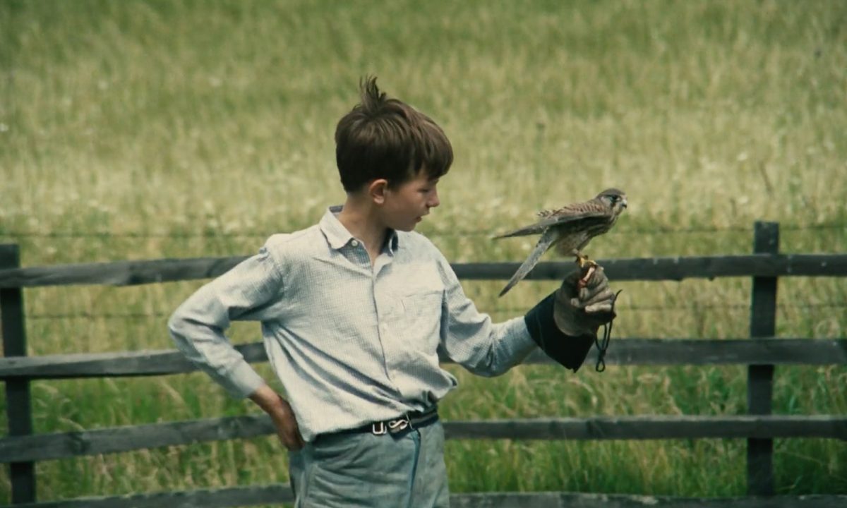 Kes (PG) - Hinterlands Film Festival