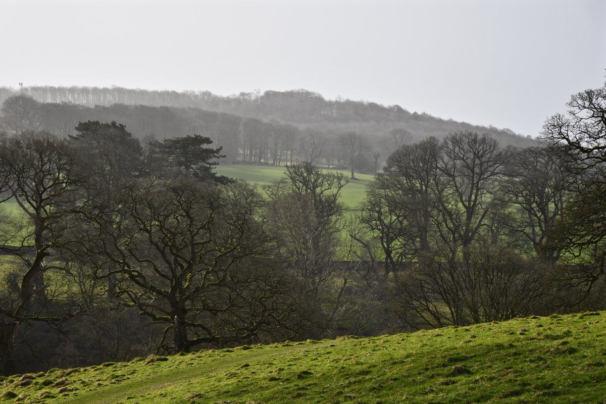 Lovely place for a walk Levens park #Lev... Lovely place for a walk Levens park #Lev...