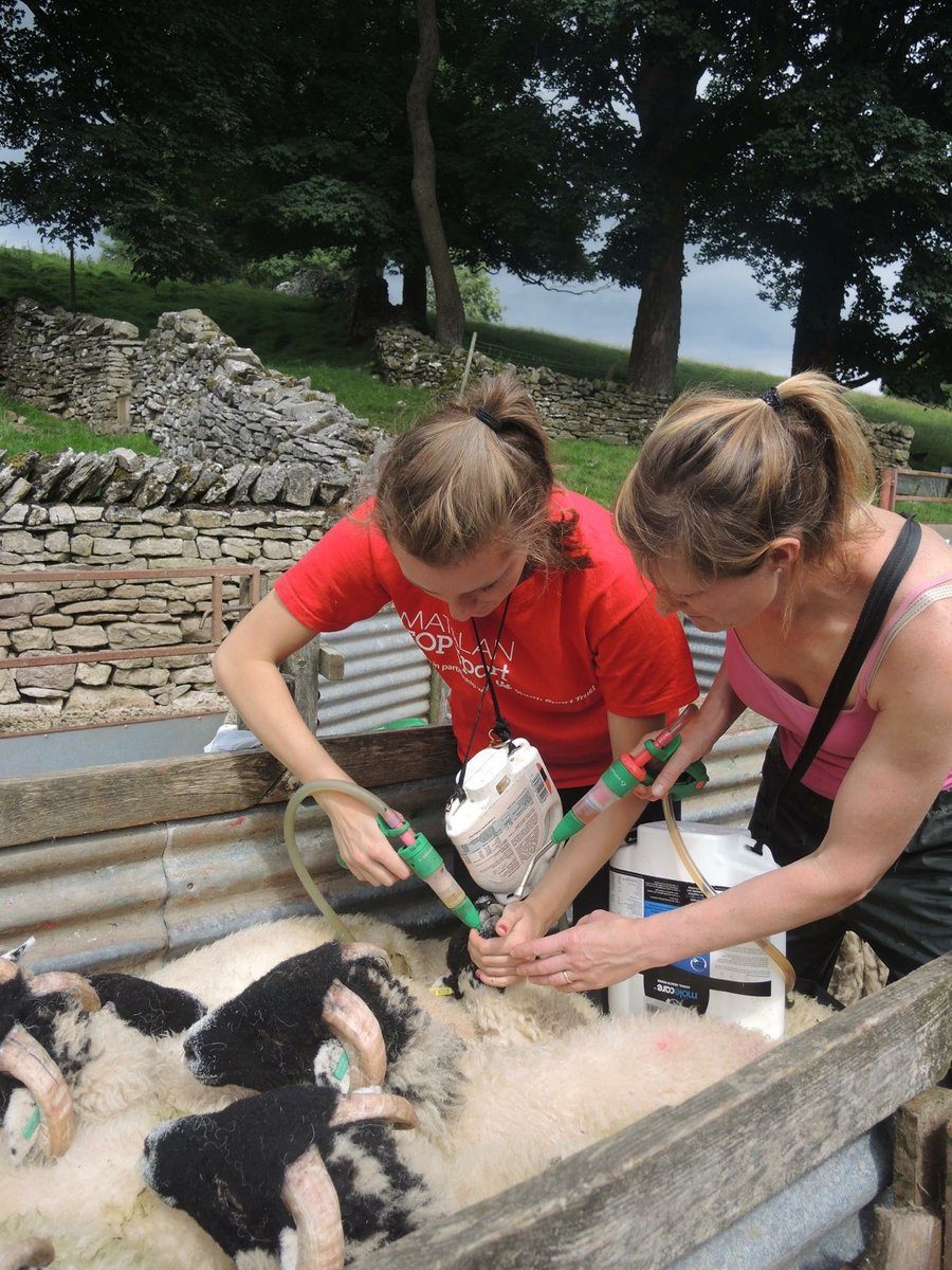 The Farmer Network has been awarded fund... The Farmer Network has been awarded fund...