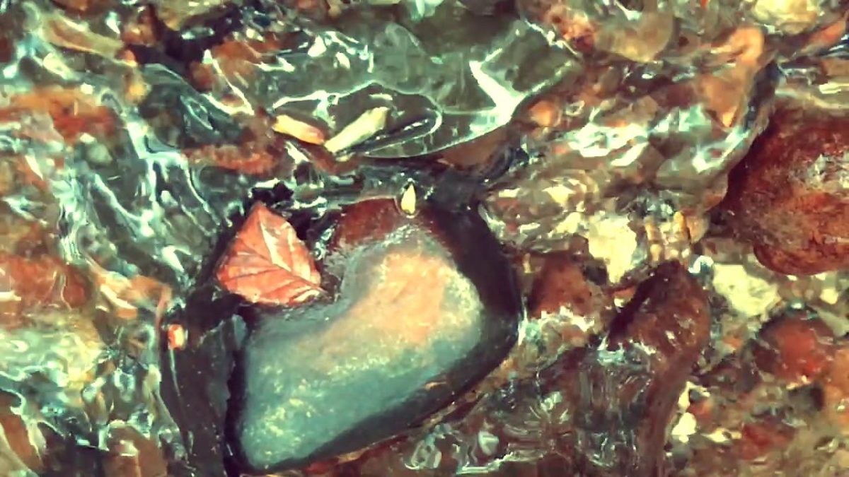 "The Journey Of Water", A film by Gabriel Payne "The Journey Of Water", A film by Gabriel Payne