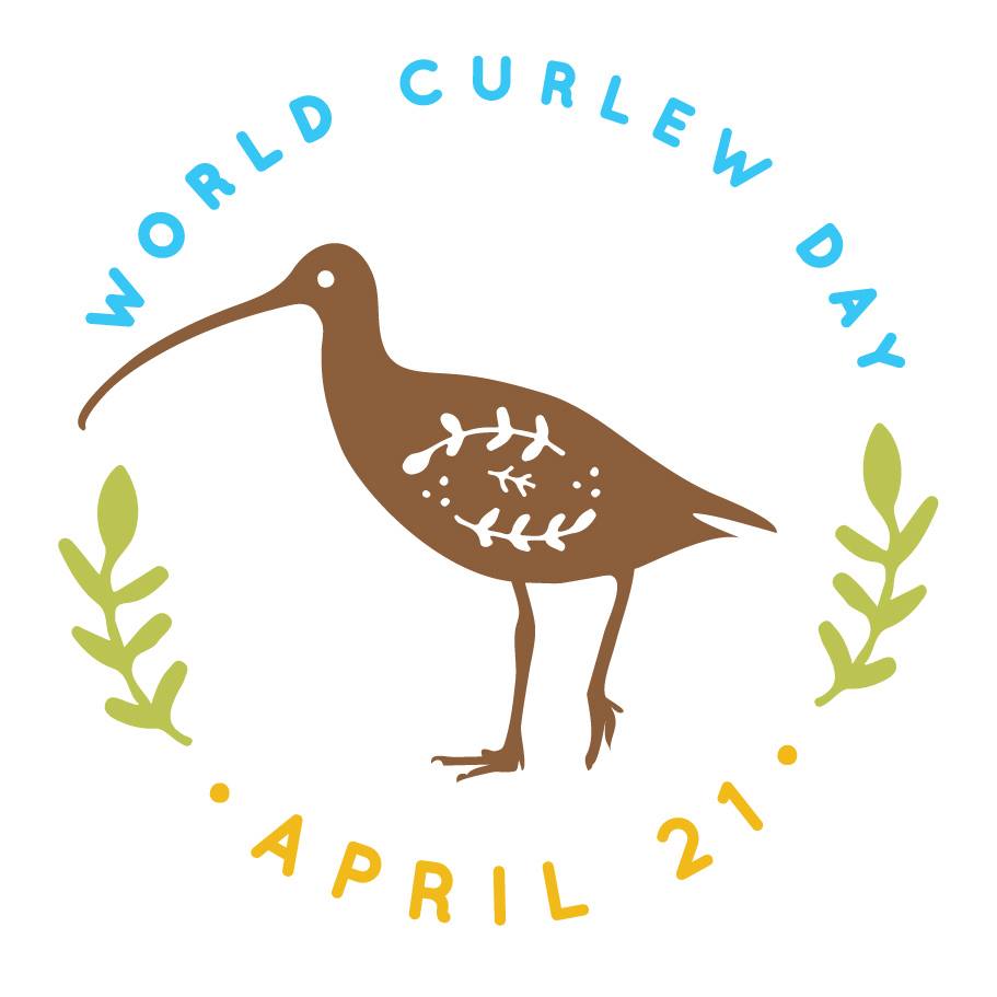 To celebrate #WorldCurlewDay this Sunday... To celebrate #WorldCurlewDay this Sunday...