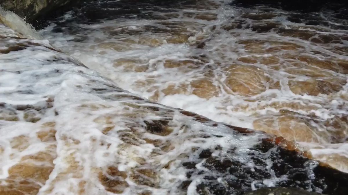 We watched the leaping salmon at #Stainf...