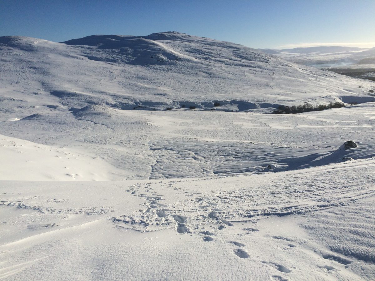 Words in the Landscape with @LindaJCrac... Words in the Landscape with @LindaJCrac...