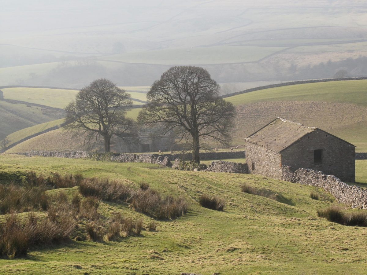 YORKSHIRE DALES NATIONAL PARK AUTHORITY: Young people campaign is ‘last