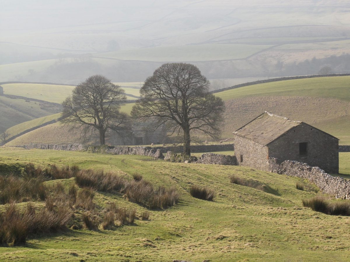 YORKSHIRE DALES NATIONAL PARK AUTHORITY: Young people campaign is ‘last YORKSHIRE DALES NATIONAL PARK AUTHORITY: Young people campaign is ‘last